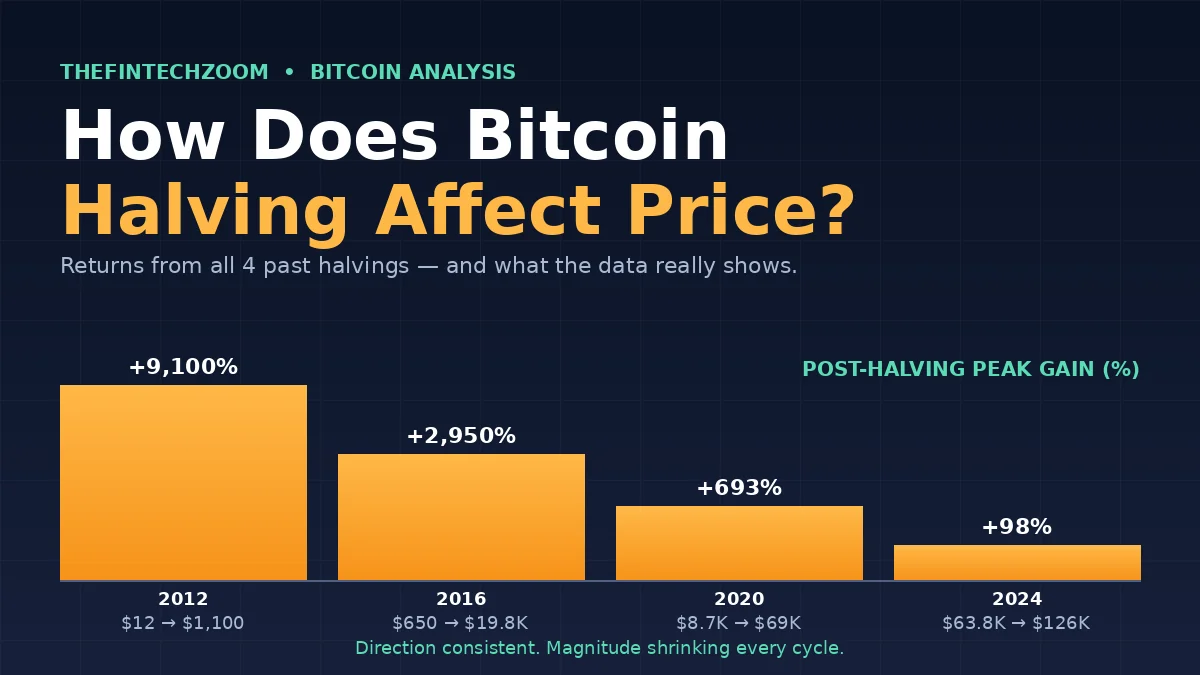How Bitcoin halving affects price — post-halving peak gains from 2012 to 2024 showing diminishing returns each cycle